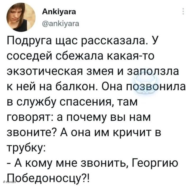 Смех в ленте: топ-24 веселых комментариев из соцсетей, которые заставят вас рыдать от смеха