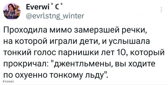 Смех в ленте: топ-24 веселых комментариев из соцсетей, которые заставят вас рыдать от смеха