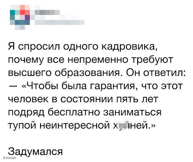 Смех в ленте: топ-24 веселых комментариев из соцсетей, которые заставят вас рыдать от смеха