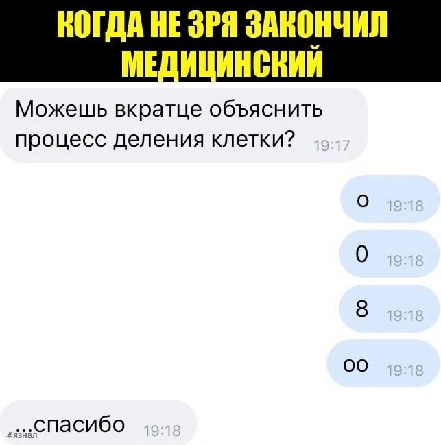 Смех в ленте: топ-24 веселых комментариев из соцсетей, которые заставят вас рыдать от смеха