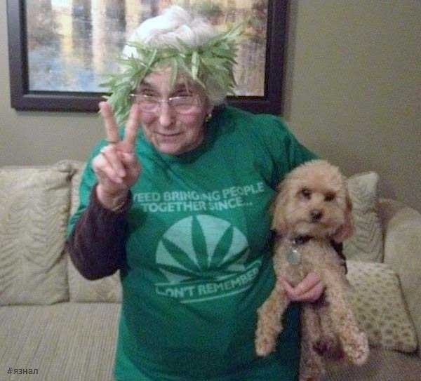 Веселые старушки в кадре