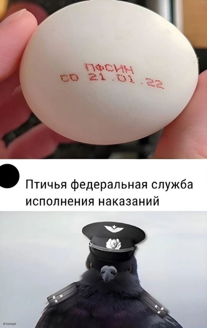 Комментария на взрослые темы