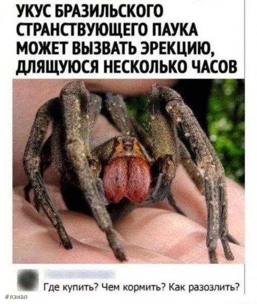 Юмор для взрослых 18+