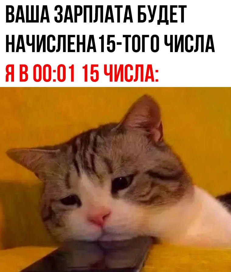 смешные приколы