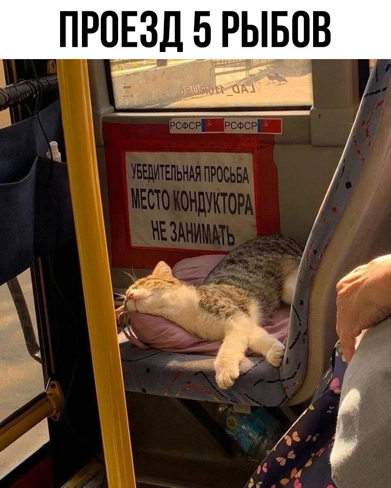 смешные приколы