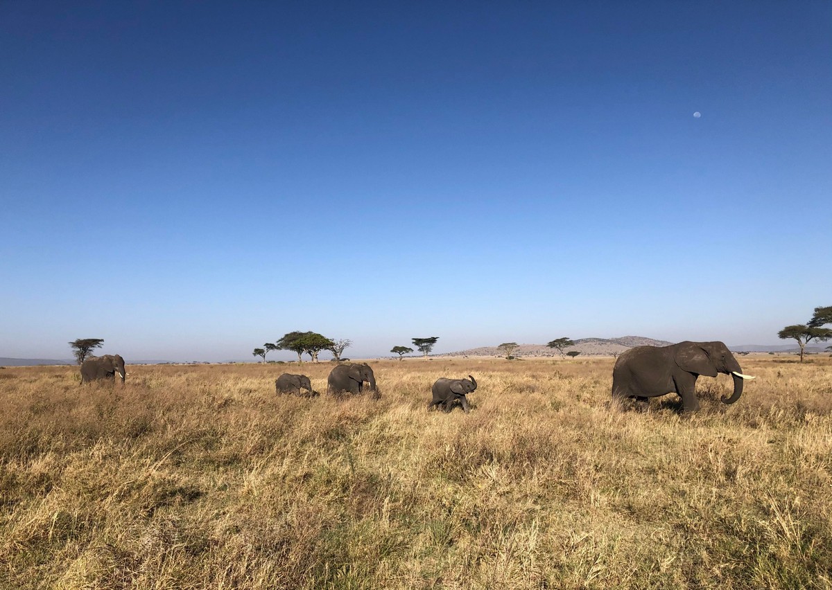 Позитивные картинки