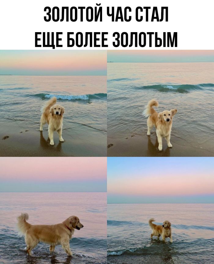 смешные приколы