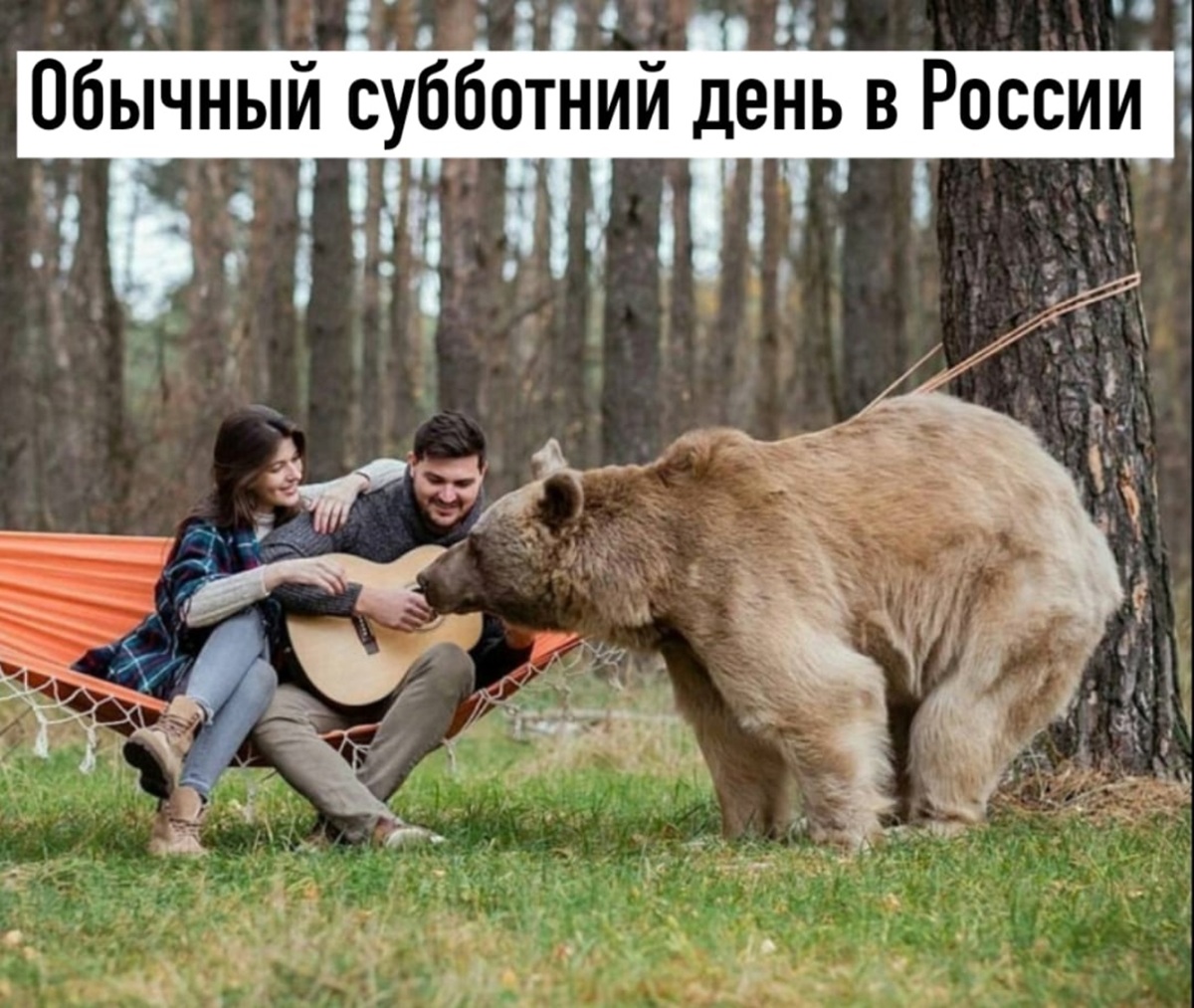 Огромная коллекция самого темного юмора и острых шуток с изюминкой!