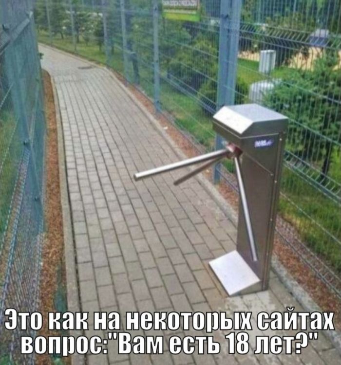 Огромная коллекция самого темного юмора и острых шуток с изюминкой!