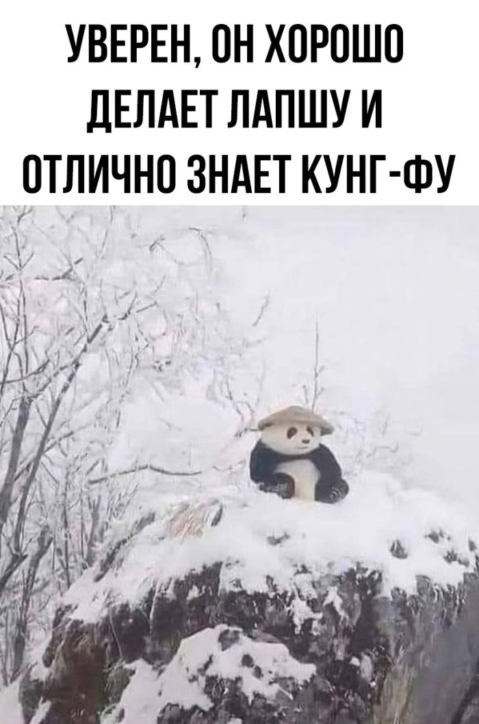 Смешные картинки с надписями