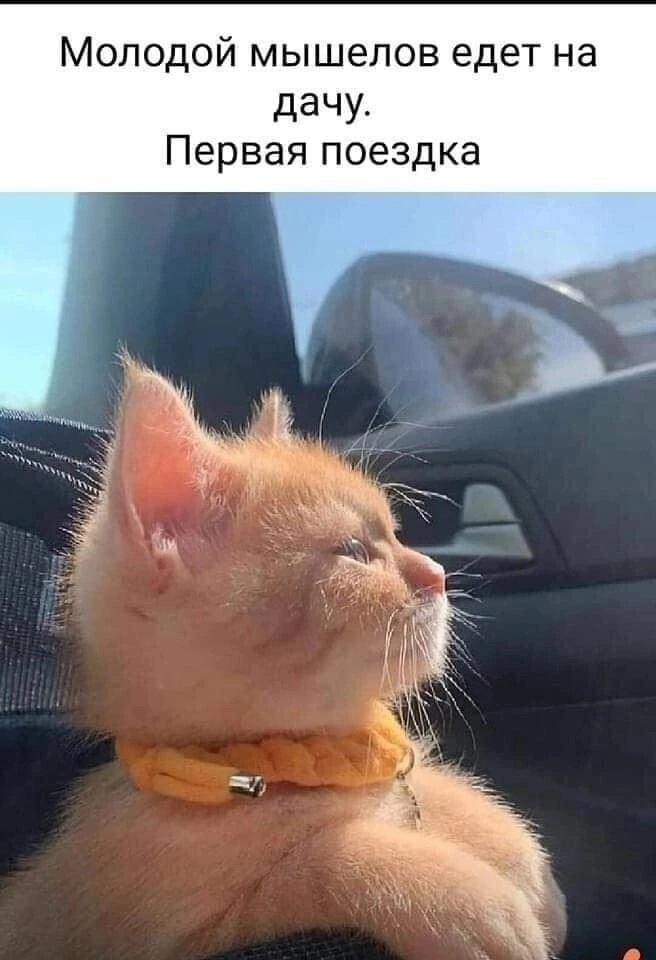 Смешные мемы