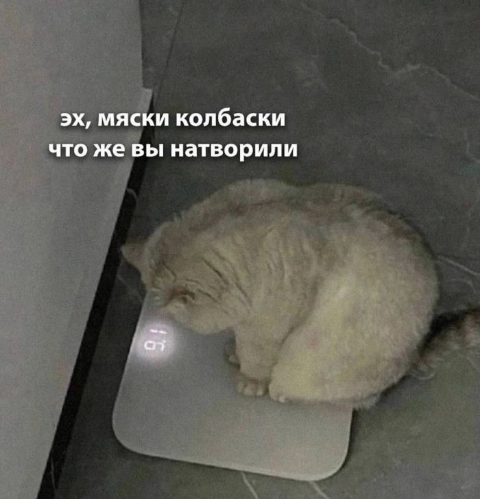 Огромная коллекция самого темного юмора и острых шуток с изюминкой!