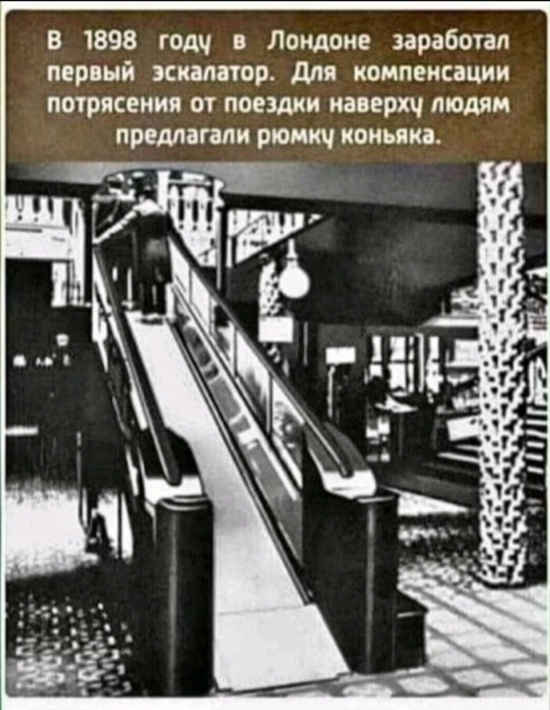 Смешные мемы