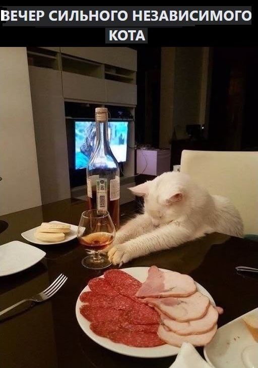 Свежие мемы и смешные картинки: взрослый юмор, который взорвет ваш день