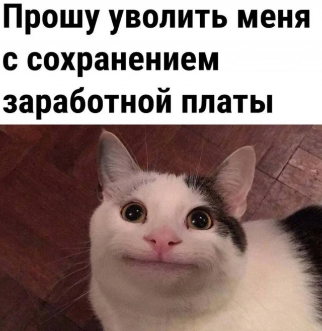 Свежие мемы и смешные картинки: взрослый юмор, который взорвет ваш день