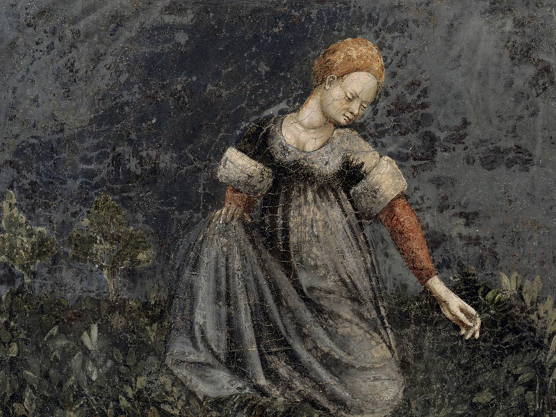 Туалетной бумаги не было