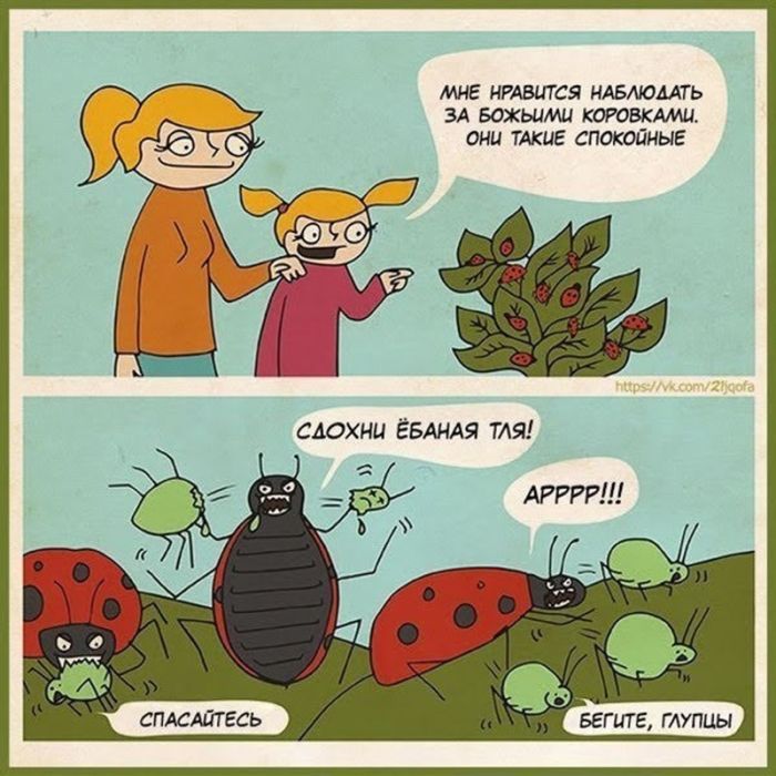 Огромная коллекция самого темного юмора и острых шуток с изюминкой!