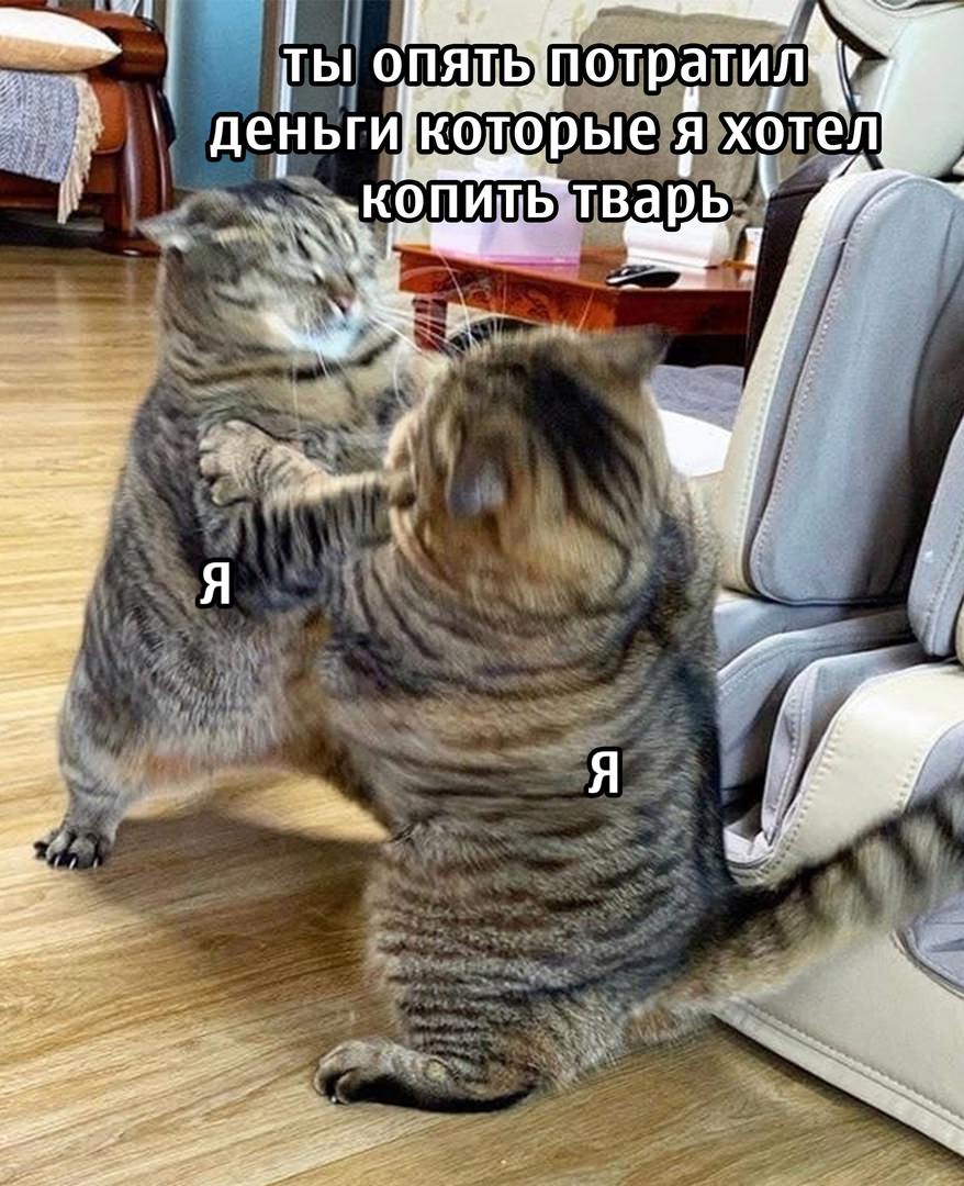 Смешные мемы