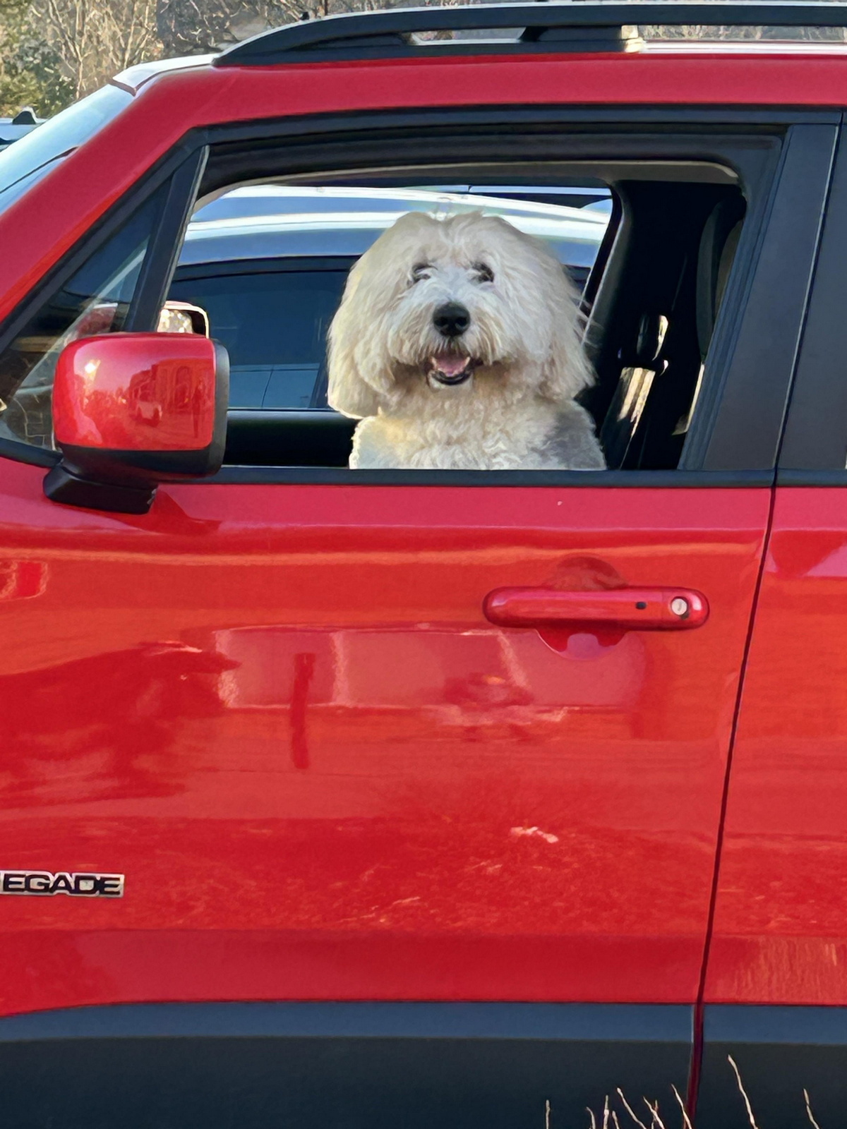 Свежие приколы