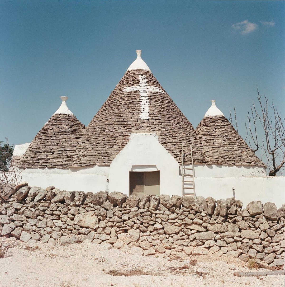 Ли-Энн Олвейдж: визуальный рассказчик из Южной Африки