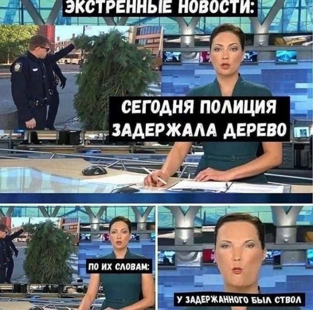 Приколы