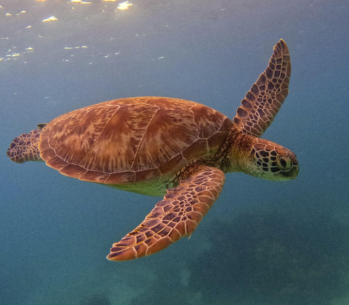 Позитивные картинки