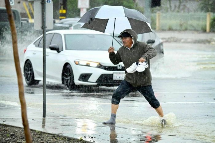 Свежие приколы