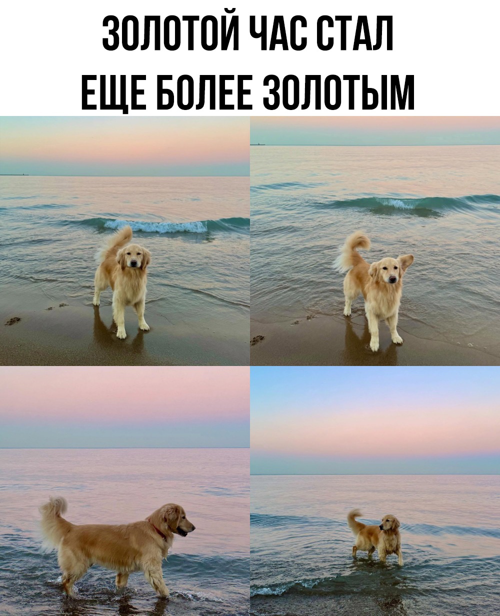 смешные приколы