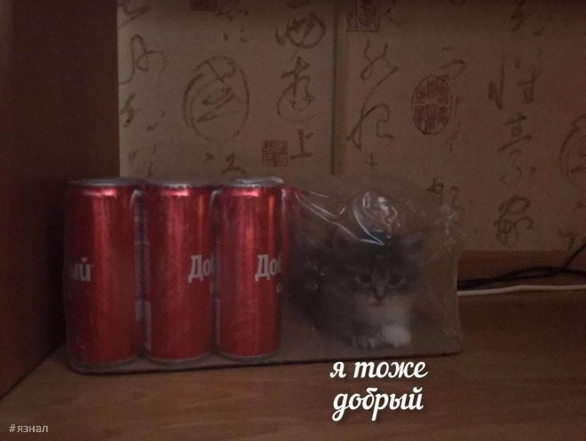 Веселые мемы