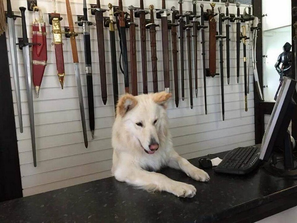 Позитивные картинки