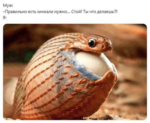 Свежие мемы и смешные картинки: взрослый юмор, который взорвет ваш день