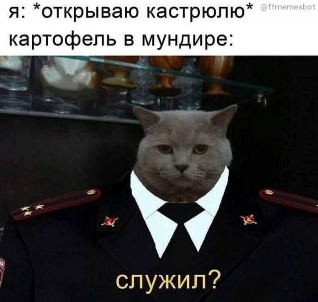 Новый сборник смешных картинок: Поднимите настроение с прикольными подписями