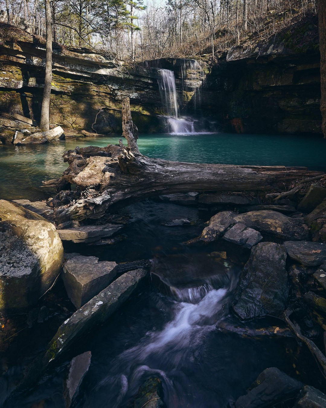 Дикая природа в объективе