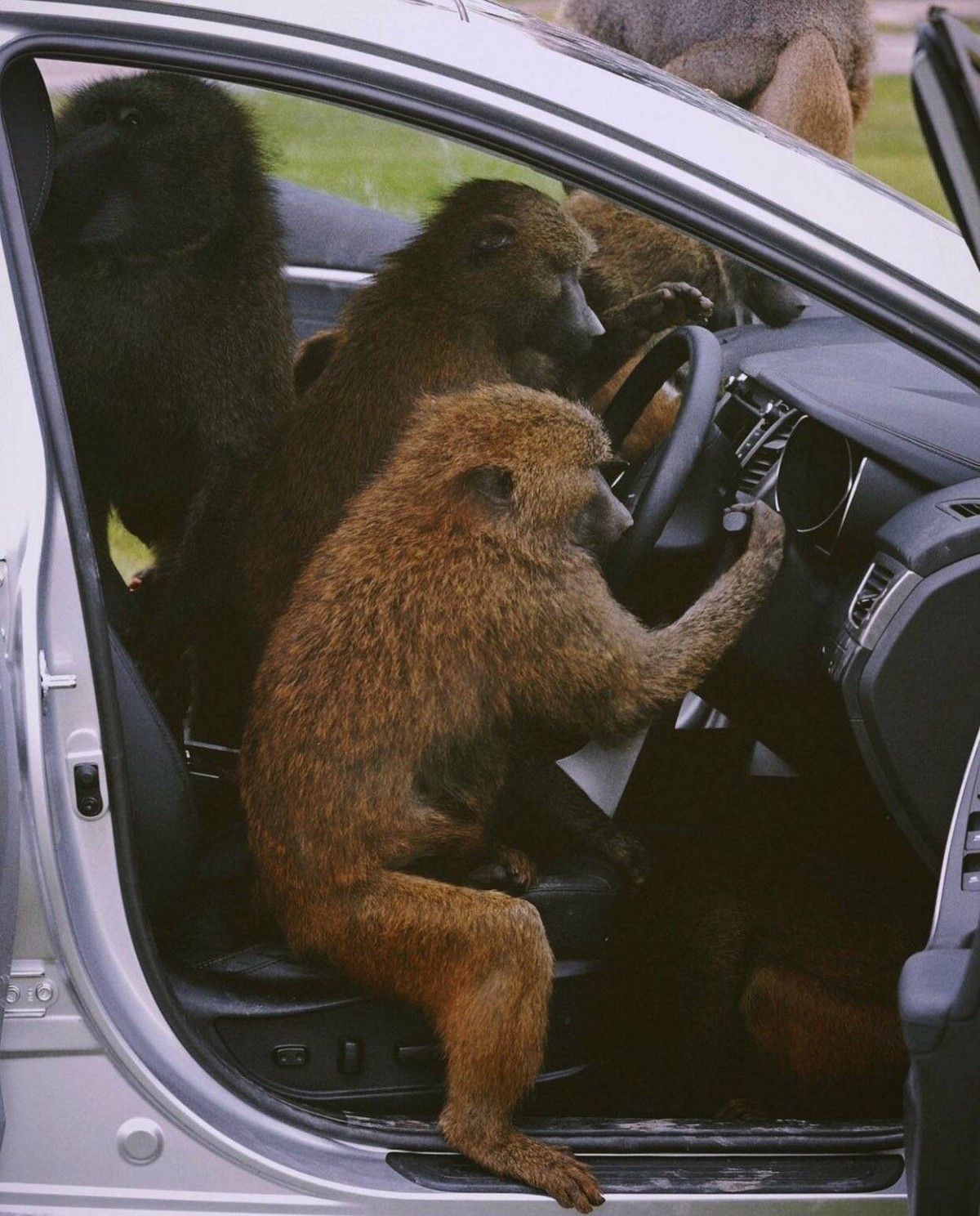 Позитивные картинки