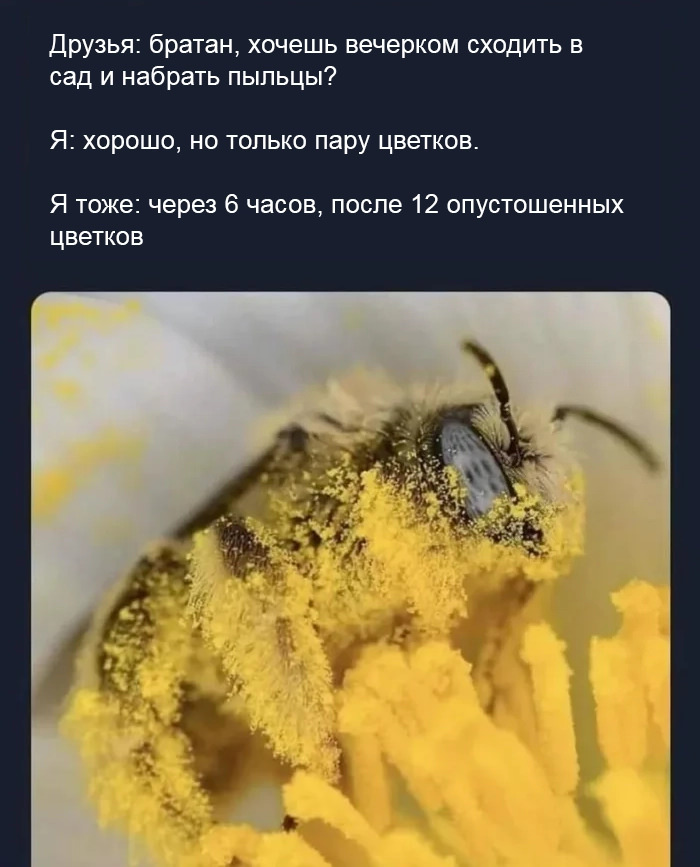 Смешные мемы