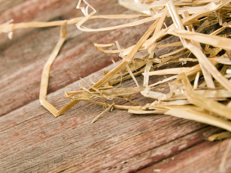 Мусор вместо пола