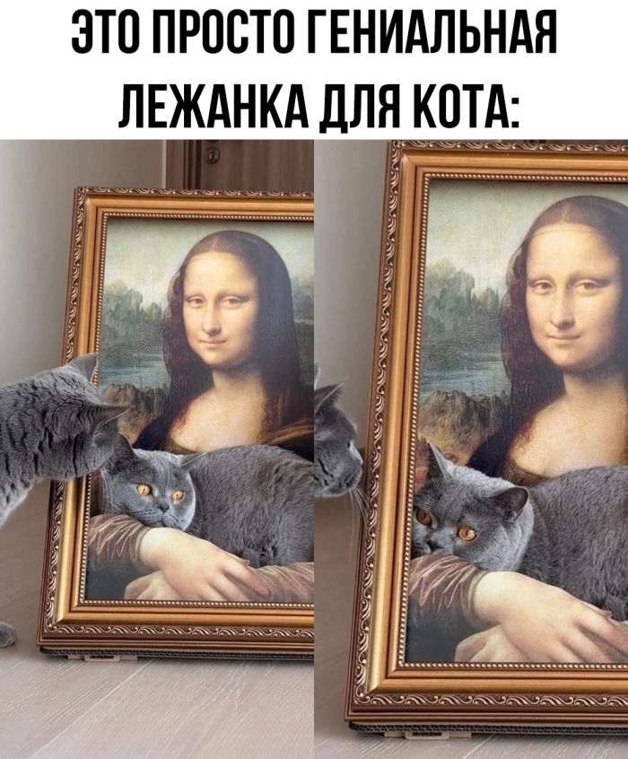 смешные приколы