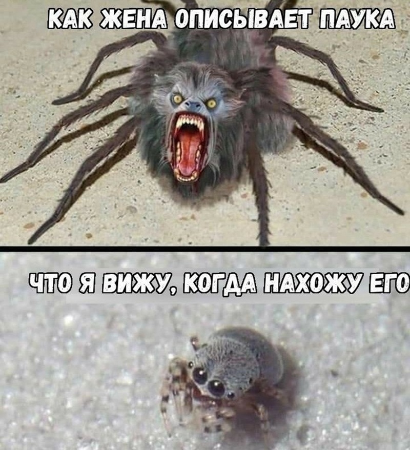 Огромная коллекция самого темного юмора и острых шуток с изюминкой!