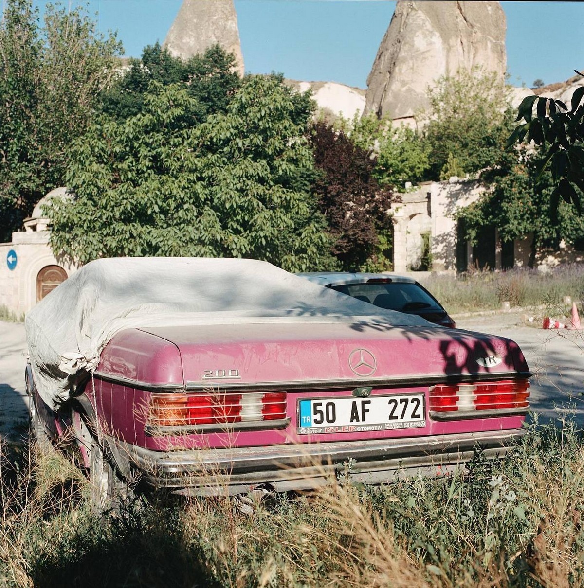 Ли-Энн Олвейдж: визуальный рассказчик из Южной Африки