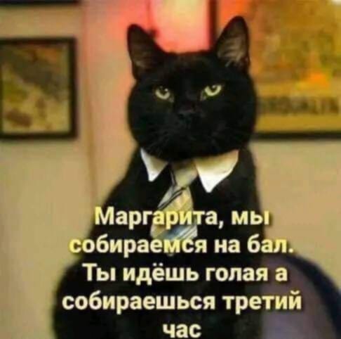 Новый сборник смешных картинок: Поднимите настроение с прикольными подписями