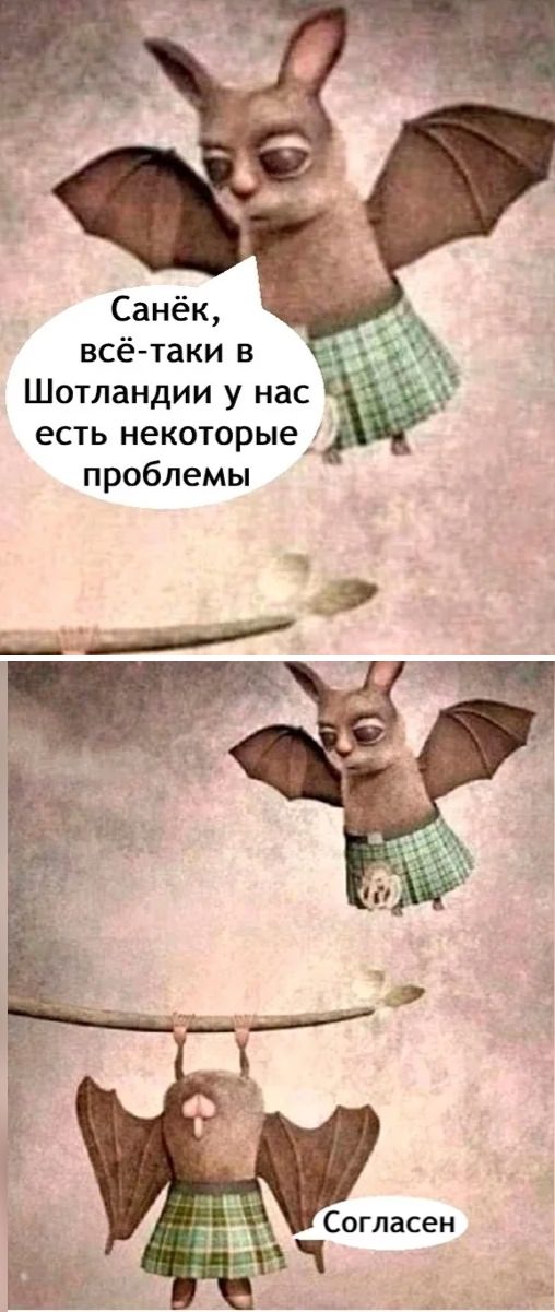 Топ приколы