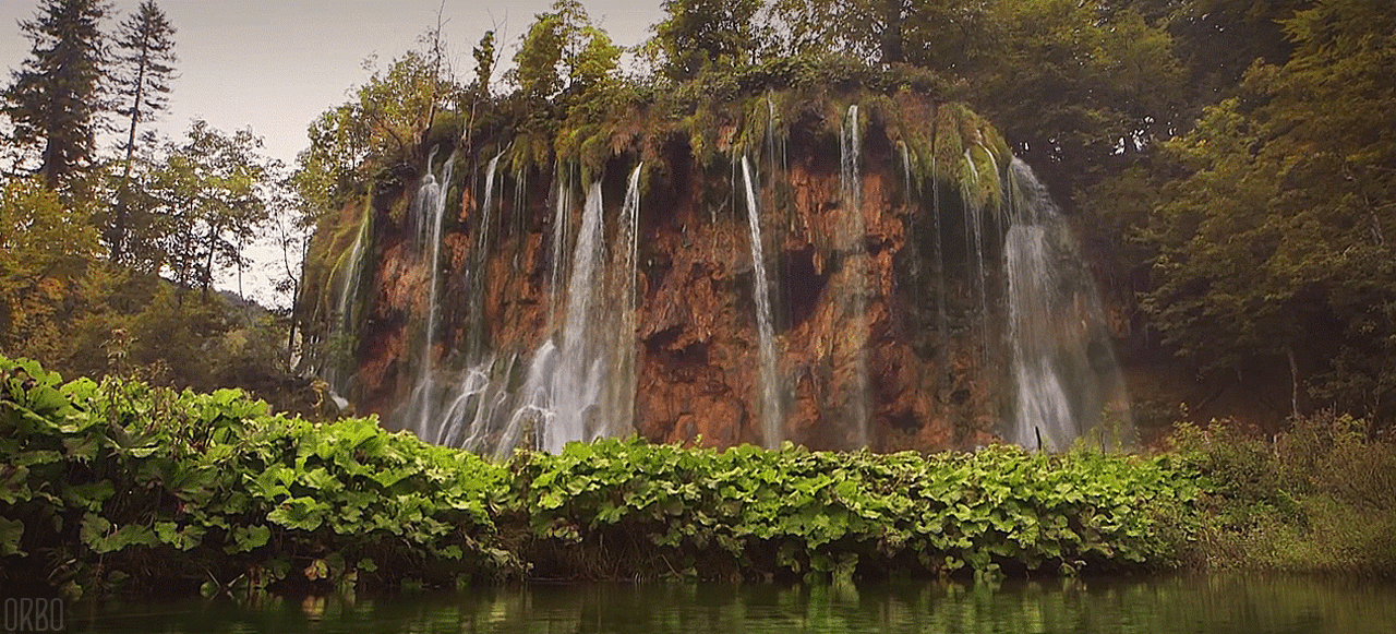 Дикая природа в объективе