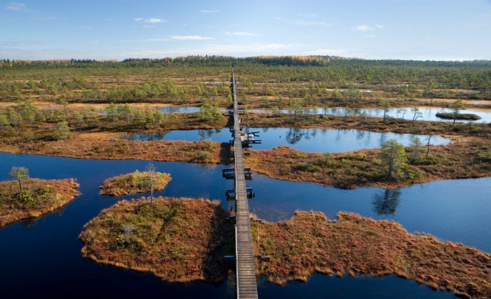 Смешные мемы