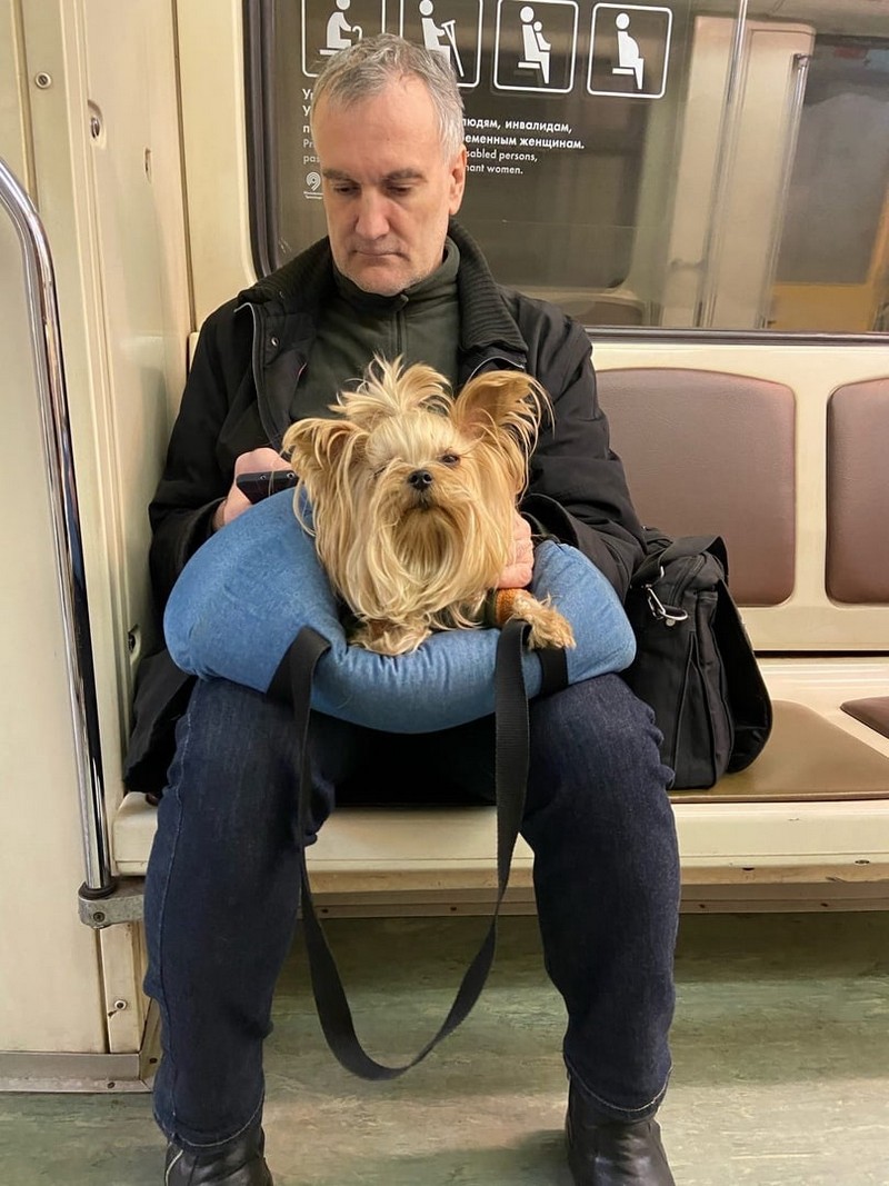 Модники из метро