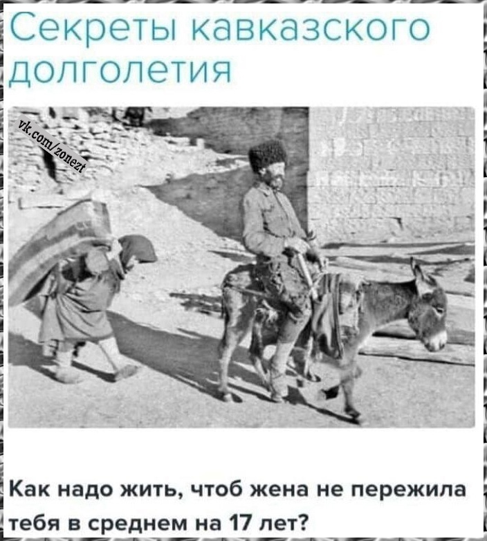 Новый сборник смешных картинок: Поднимите настроение с прикольными подписями