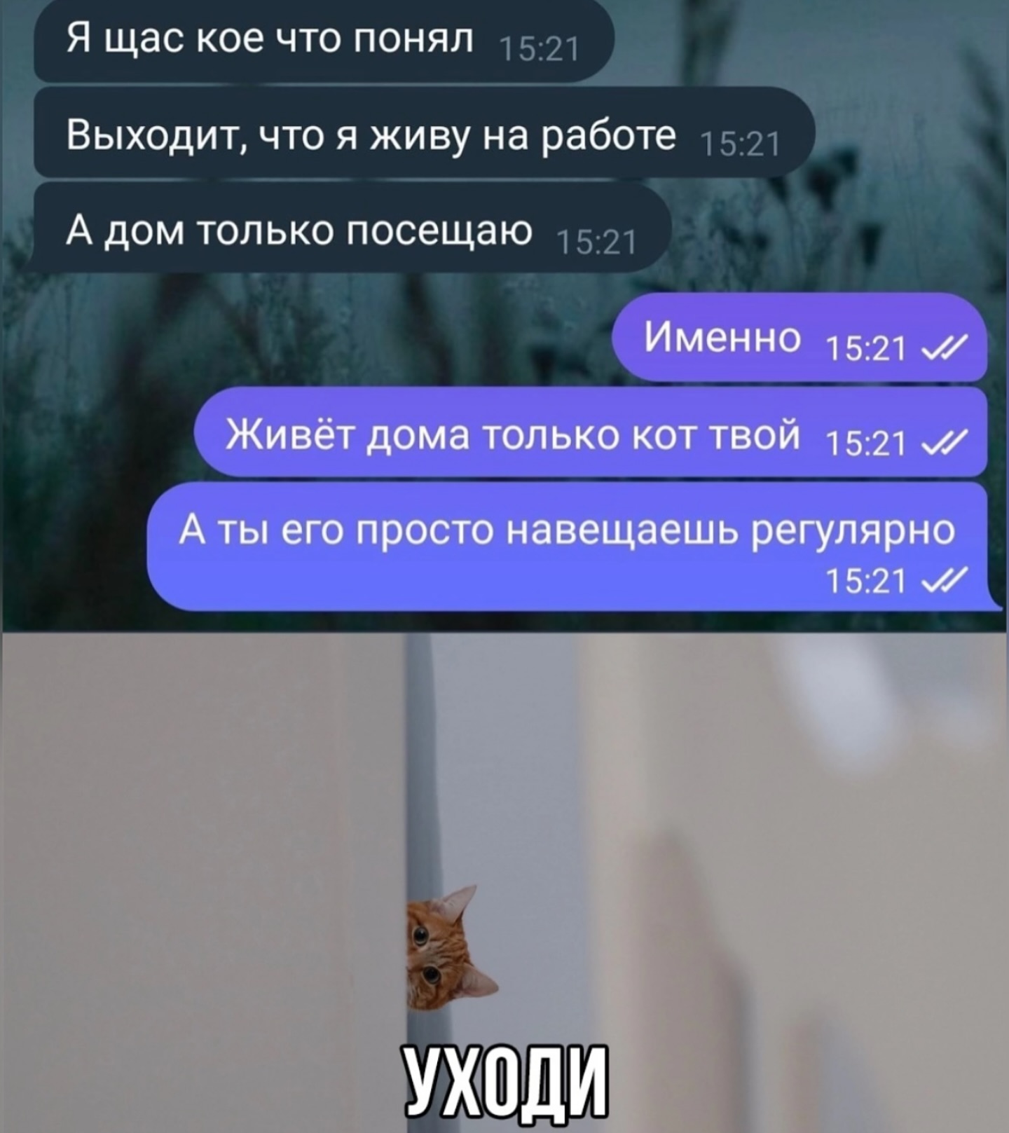 Смешные мемы