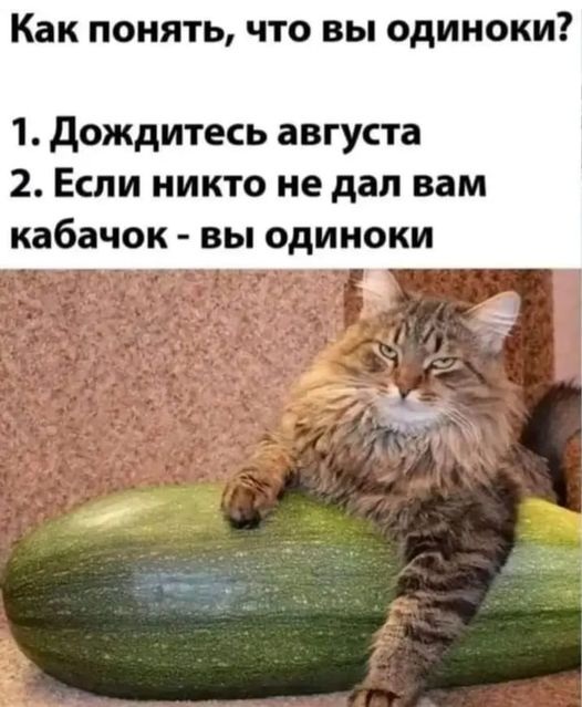 Долгожданный день смеха: заряжаемся позитивом!