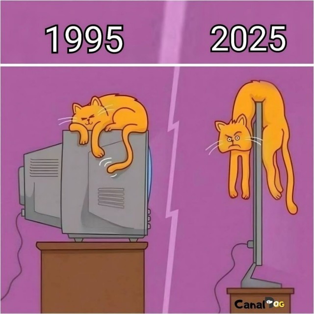 Свежие мемы и смешные картинки: взрослый юмор, который взорвет ваш день