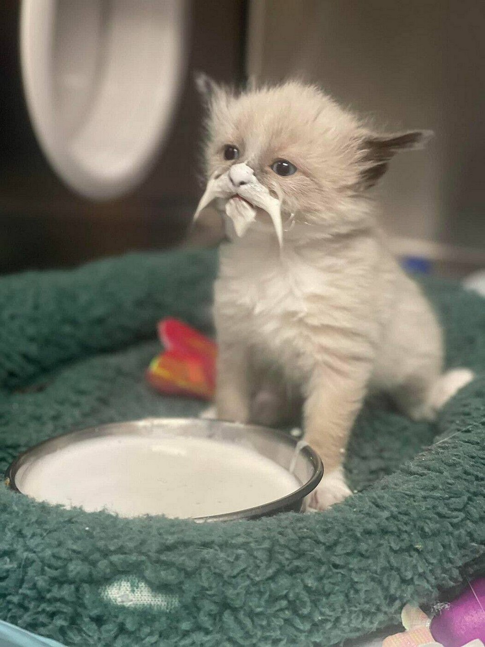 Позитивные картинки