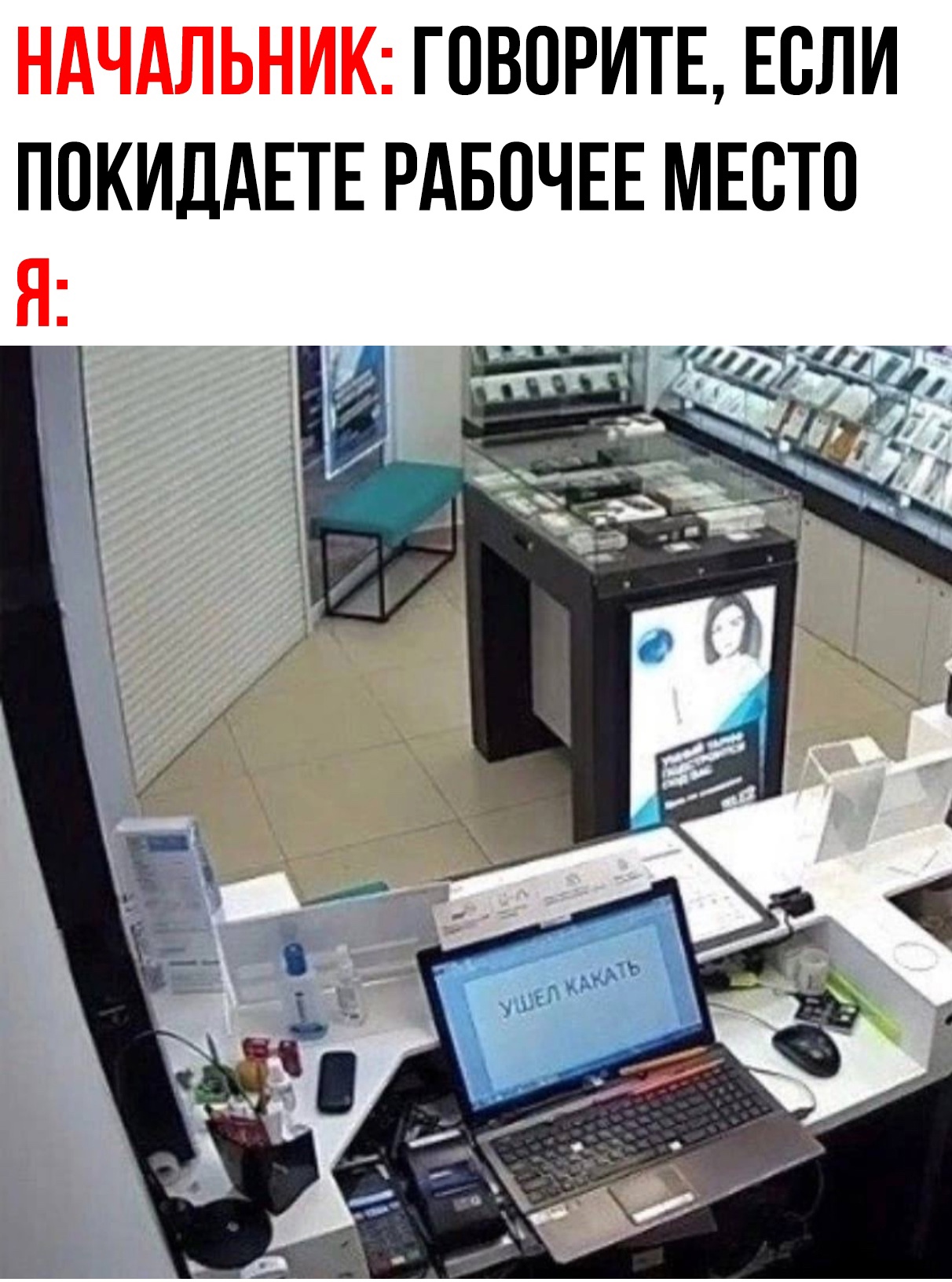 смешные приколы